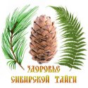 Сибирский кедр
