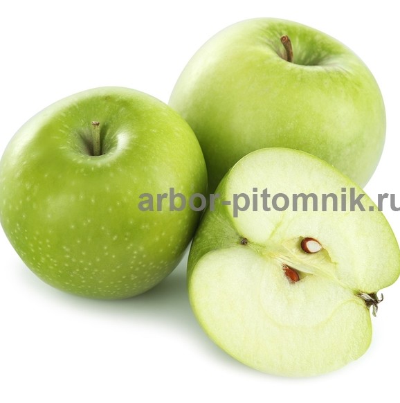 Саженцы яблони из питомника, с доставкой и посадкой